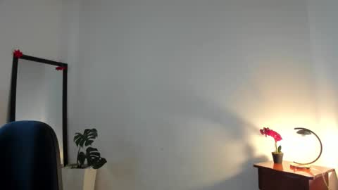 Snapshot of afrodita3123 chatting on 12/01/25, 01:27 Lorena online show from 12/01/25, 01:27