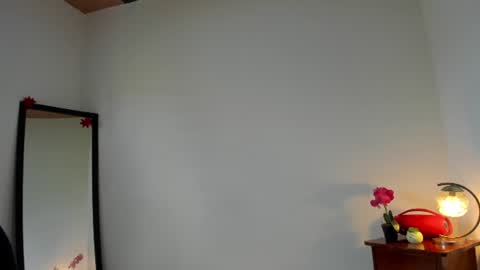 Snapshot of afrodita3123 chatting on 06/10/26, 02:49 Lorena online show from 06/10/26, 02:49