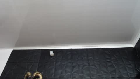  Miss Agata  online show from 12/11/24, 02:54