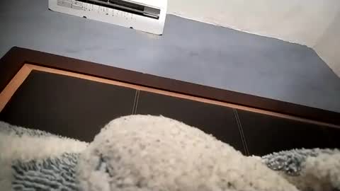 Snapshot of airoon91 chatting on 11/16/25, 05:24 airoon91 online show from 11/16/25, 05:24