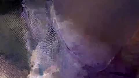 Snapshot of aj297914 chatting on 10/18/25, 05:54 aj297914 online show from 10/18/25, 05:54