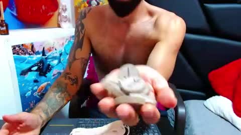 akiles online show from 06/11/26, 11:58