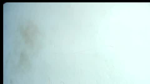 alahia66 online show from 04/21/26, 02:56
