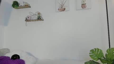   online show from 06/24/26, 10:47