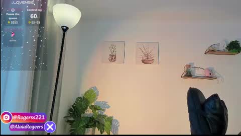   online show from 07/25/26, 11:41