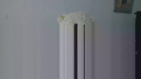 aleka_williams_ online show from 10/20/25, 11:27