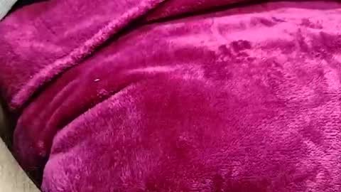 alessandrodmv online show from 06/09/26, 10:05