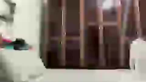 alessandromori91 online show from 06/15/26, 12:13