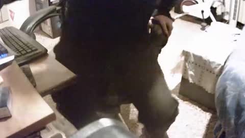 Snapshot of alex81pv1981 chatting on 12/08/24, 06:50 alex81pv1981 online show from 12/08/24, 06:50