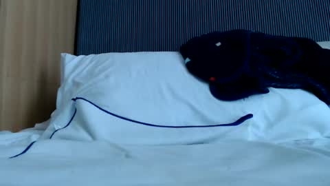 Nicha online show from 06/13/26, 06:33