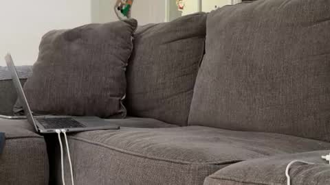 Alex online show from 11/03/25, 06:53