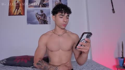 Snapshot of alex_zt chatting on 10/20/25, 12:33 x online show from 10/20/25, 12:33