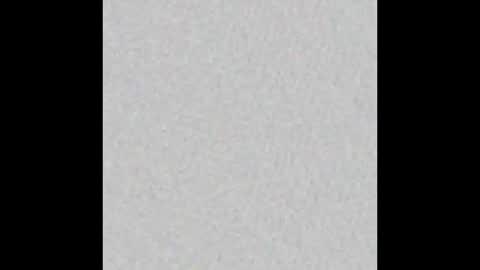 Snapshot of alexa_grey_1 chatting on 03/04/25, 02:17 alexa online show from 03/04/25, 02:17