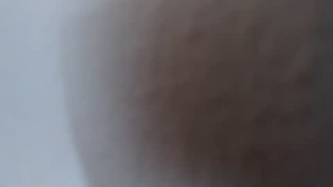 Alexamdergal online show from 07/02/26, 05:30