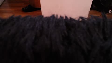 Alexa Moon online show from 12/07/24, 03:58