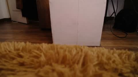 Alexa Moon online show from 12/10/24, 05:44
