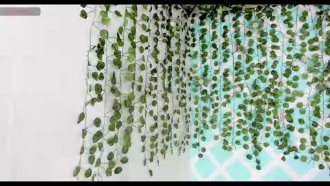 Snapshot of alexandluke1 chatting on 11/18/25, 02:21 chicos hot online show from 11/18/25, 02:21