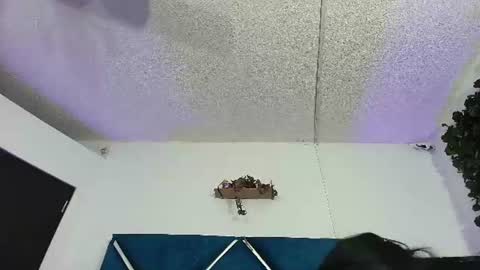 Alexa online show from 06/13/26, 12:19