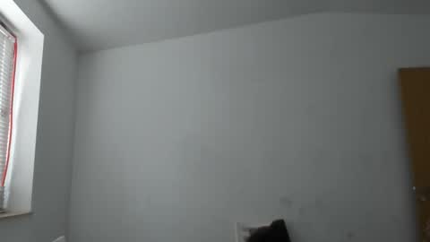 Snapshot of alfiesolomons87 chatting on 11/14/25, 09:41 alfiesolomons87 online show from 11/14/25, 09:41