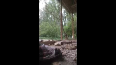 ali266113 online show from 04/23/26, 06:25