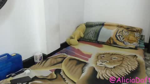 Alicia Aldara online show from 05/01/26, 07:18
