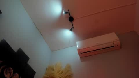 Snapshot of alicepoixxxon chatting on 11/15/25, 01:14 ALICE online show from 11/15/25, 01:14