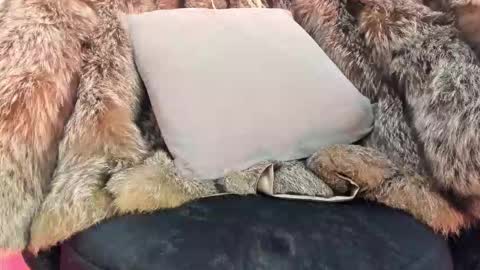 Snapshot of alicepoixxxon chatting on 11/20/25, 04:34 ALICE online show from 11/20/25, 04:34