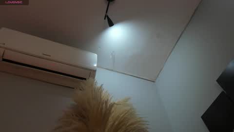 Snapshot of alicepoixxxon chatting on 11/25/25, 02:55 ALICE online show from 11/25/25, 02:55