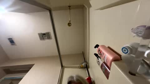 Alices Curiosity online show from 12/17/24, 06:31