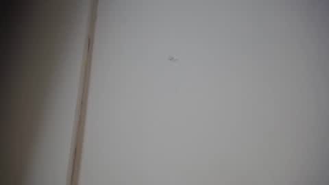 Ali online show from 01/10/25, 12:15