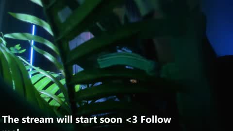 Alicia Lici  online show from 12/02/24, 05:26