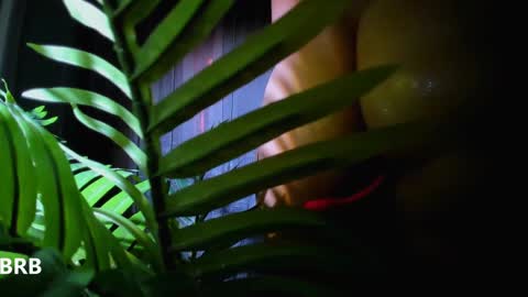 Alicia Lici  online show from 01/02/25, 10:48