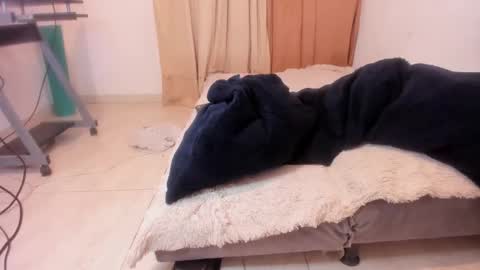 Alis 3 independent model 3 online show from 02/07/25, 11:24