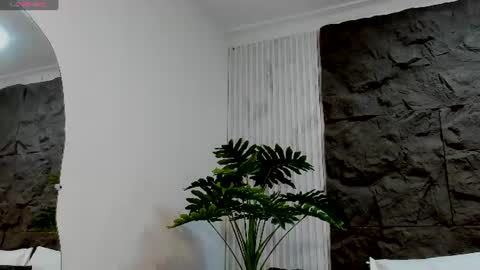 Alice online show from 07/23/26, 11:52