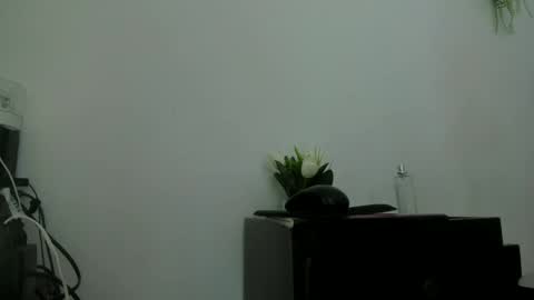 Snapshot of alika01_ chatting on 09/13/25, 02:50 alika online show from 09/13/25, 02:50