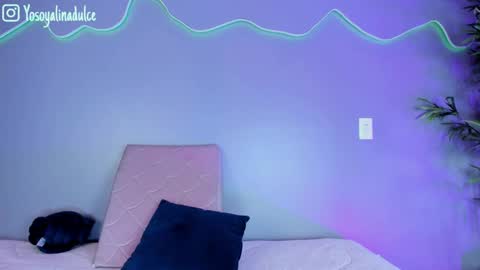 Snapshot of alinasweett_ chatting on 09/18/25, 02:30    online show from 09/18/25, 02:30