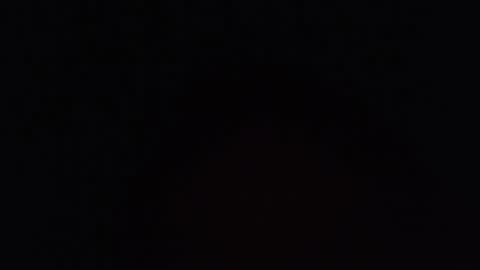     online show from 05/15/26, 09:33