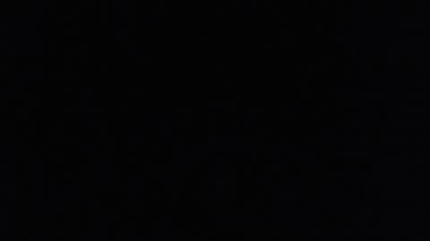     online show from 07/29/26, 06:28
