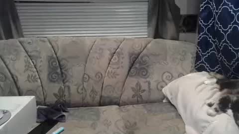 Alisha online show from 07/22/26, 03:09