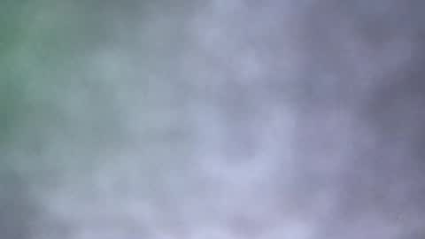 Snapshot of all_most_sane chatting on 05/18/26, 04:02 all_most_sane online show from 05/18/26, 04:02