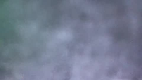 Snapshot of all_most_sane chatting on 05/19/26, 04:02 all_most_sane online show from 05/19/26, 04:02