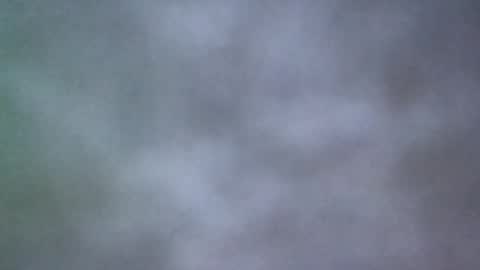 Snapshot of all_most_sane chatting on 05/20/26, 02:45 all_most_sane online show from 05/20/26, 02:45