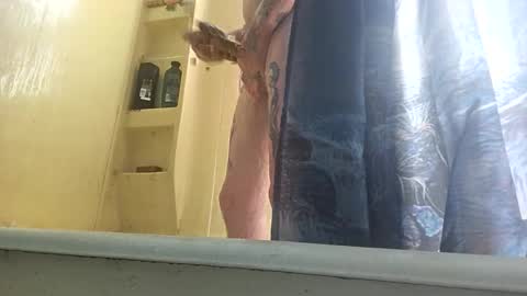 Snapshot of allwolf0323 chatting on 09/30/25, 04:45 allwolf0323 online show from 09/30/25, 04:45