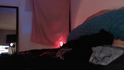 Ally online show from 02/16/25, 12:52