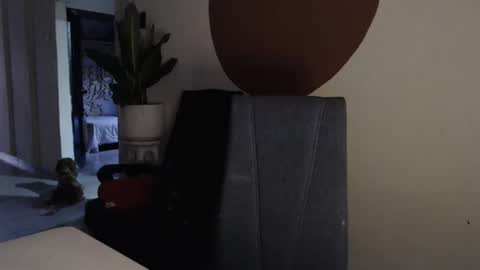 Snapshot of alogenotwink chatting on 12/17/25, 11:27 STEPHAN online show from 12/17/25, 11:27
