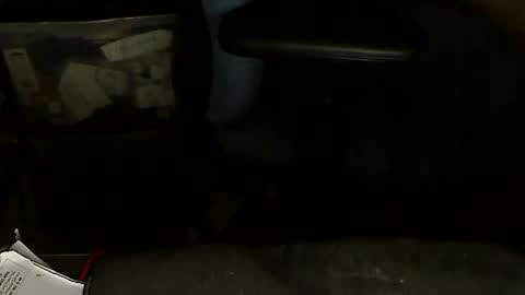 Loooopy online show from 01/20/25, 07:04