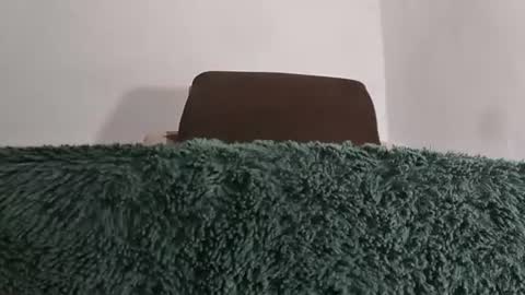alotofcream4u online show from 07/08/26, 05:56