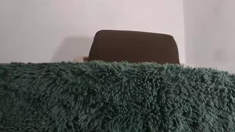 alotofcream4u online show from 07/17/26, 02:29