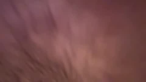 Snapshot of alphazack14 chatting on 02/19/25, 03:49 alphazack14 online show from 02/19/25, 03:49