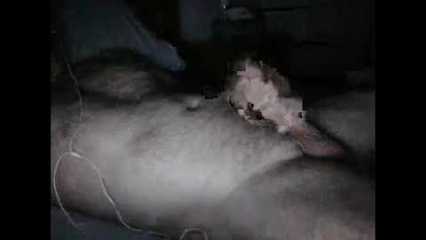 Snapshot of alucard5757 chatting on 02/01/25, 02:34 alucard5757 online show from 02/01/25, 02:34